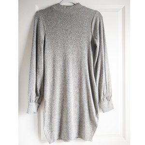 EXPRESS FALL/WINTER DRESS nwot